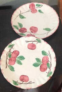 blue ridge apple movie prop